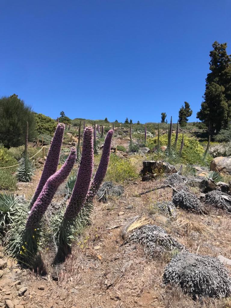Finca Caboquitos Garafía Eksteriør bilde